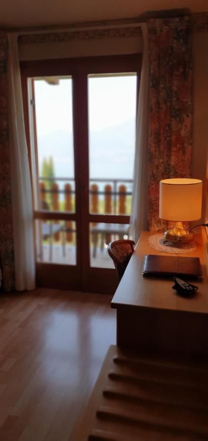 Panoramic Double or Twin Room Lake View