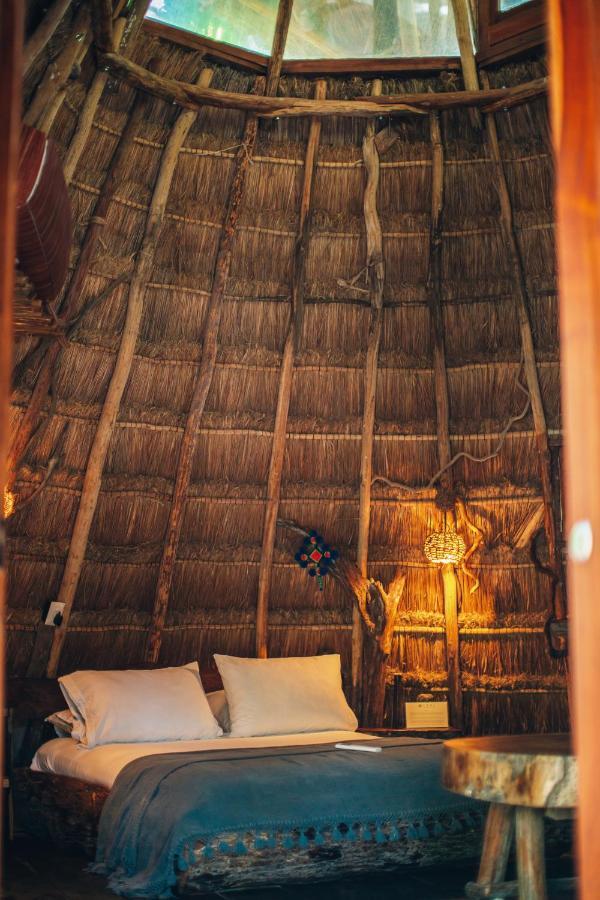 Maya-Suite Garten