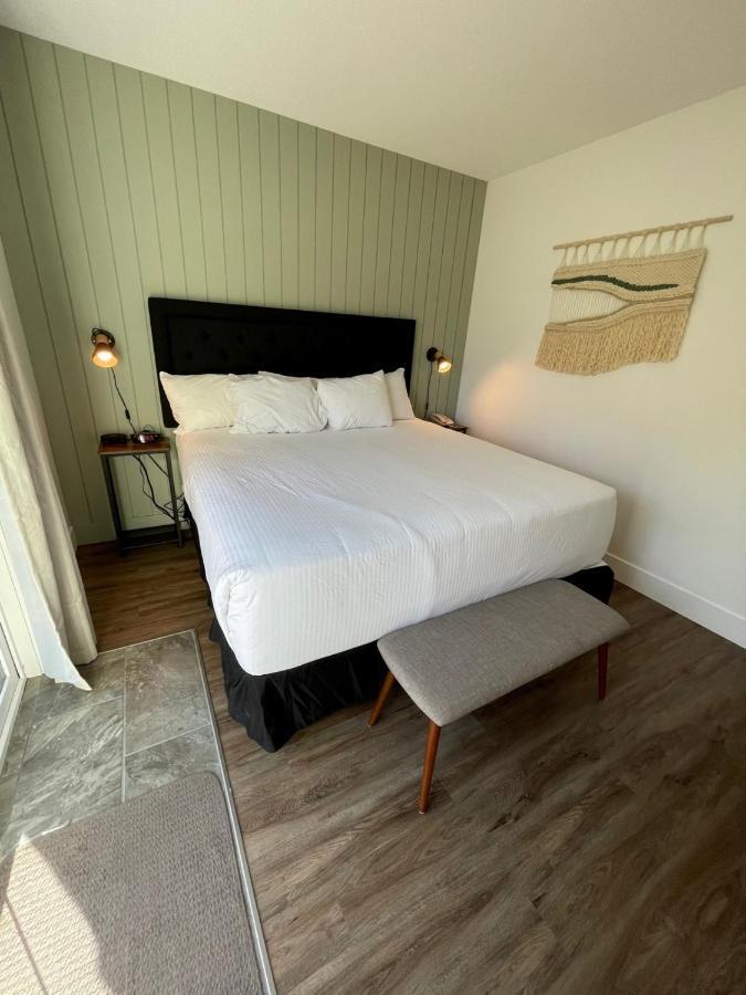 Deluxe King Suite