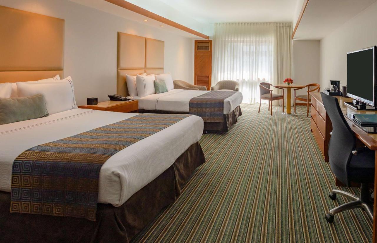 Executive Twin Room,1191168988:JPEG