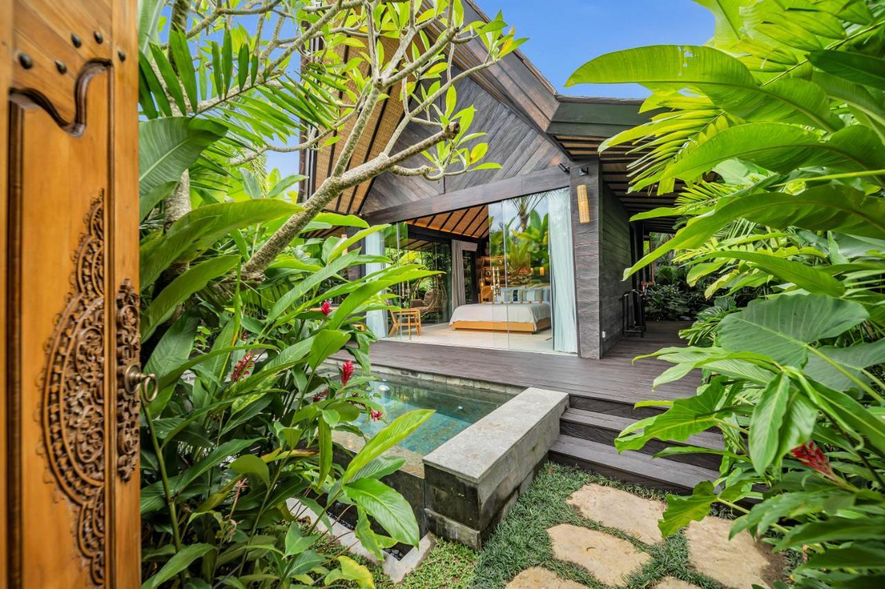Jabu Plunge Pool Daily Floating Afternoon Tea