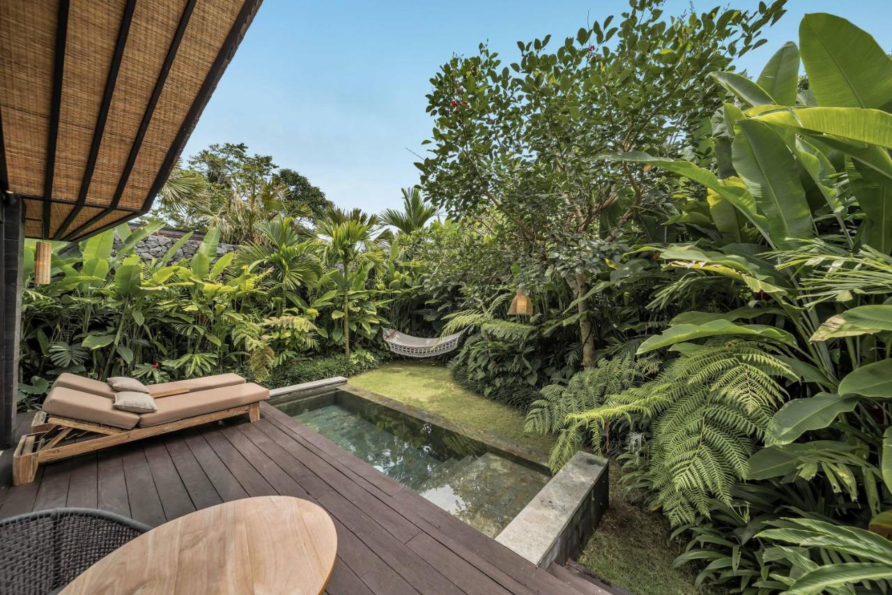 Premium Jabu Plunge Pool Daily Floating Afternoon Tea