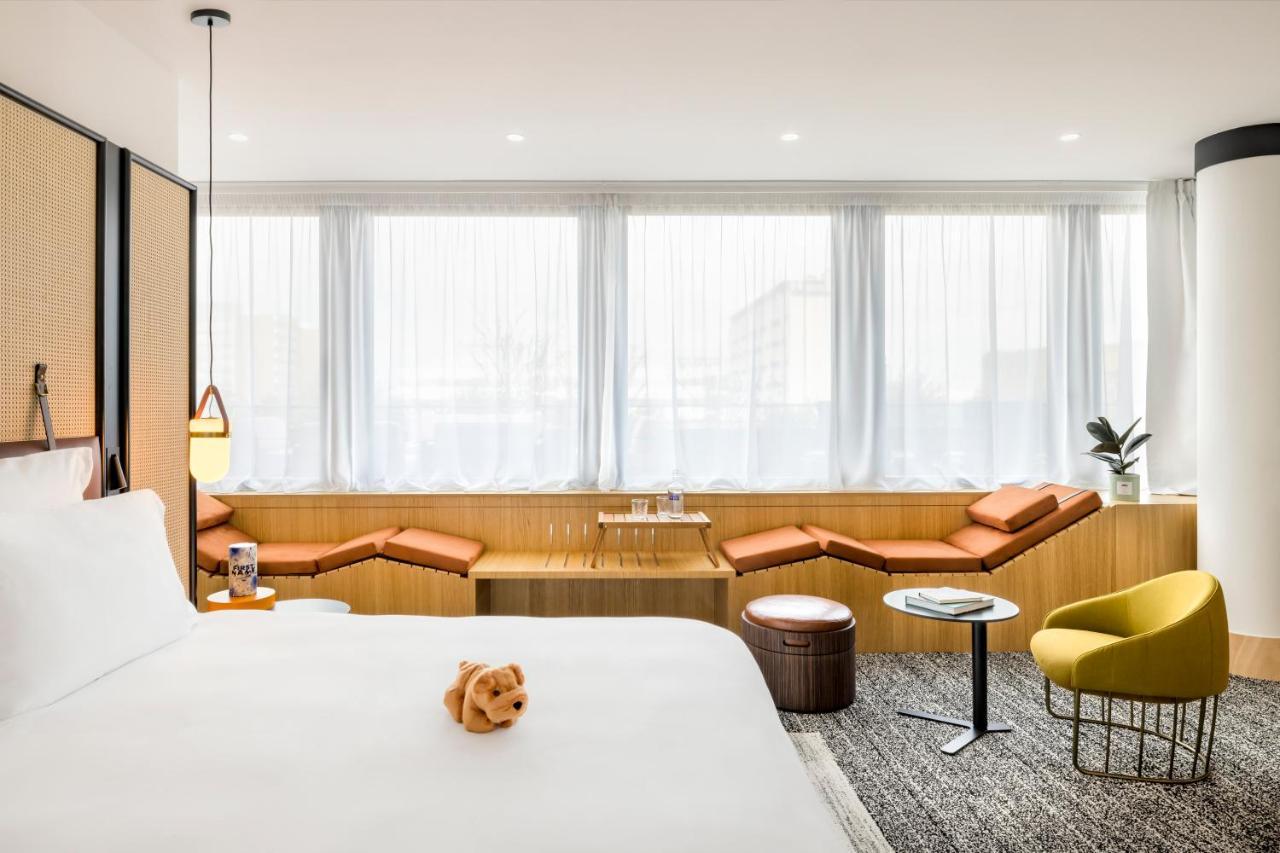 Habitación Premier con cama extragrande y terraza