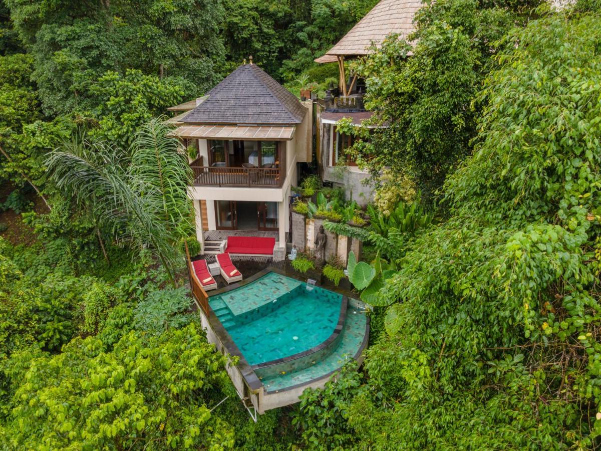 Two Bedroom Jungle Pool Villa