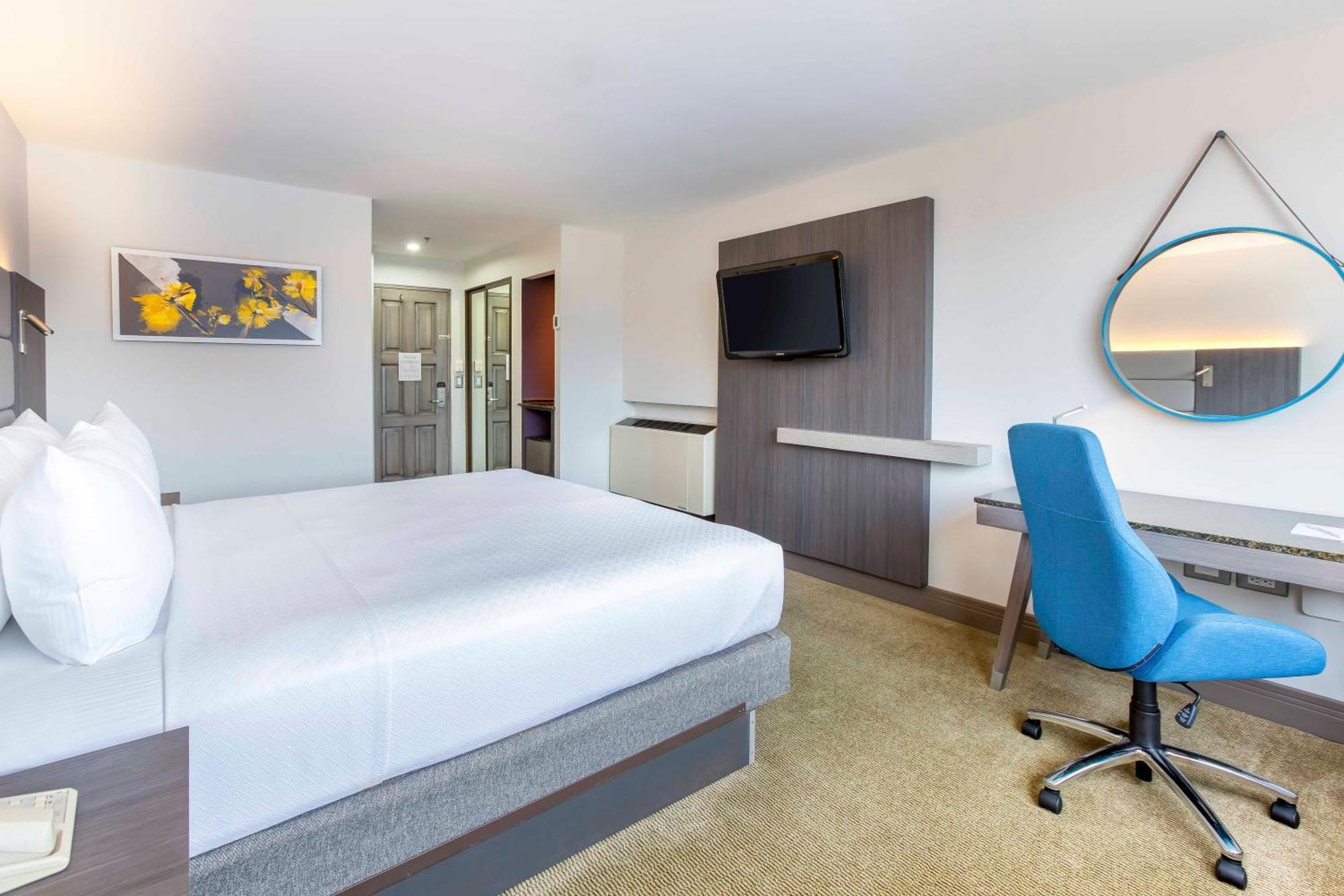 Standard King Room