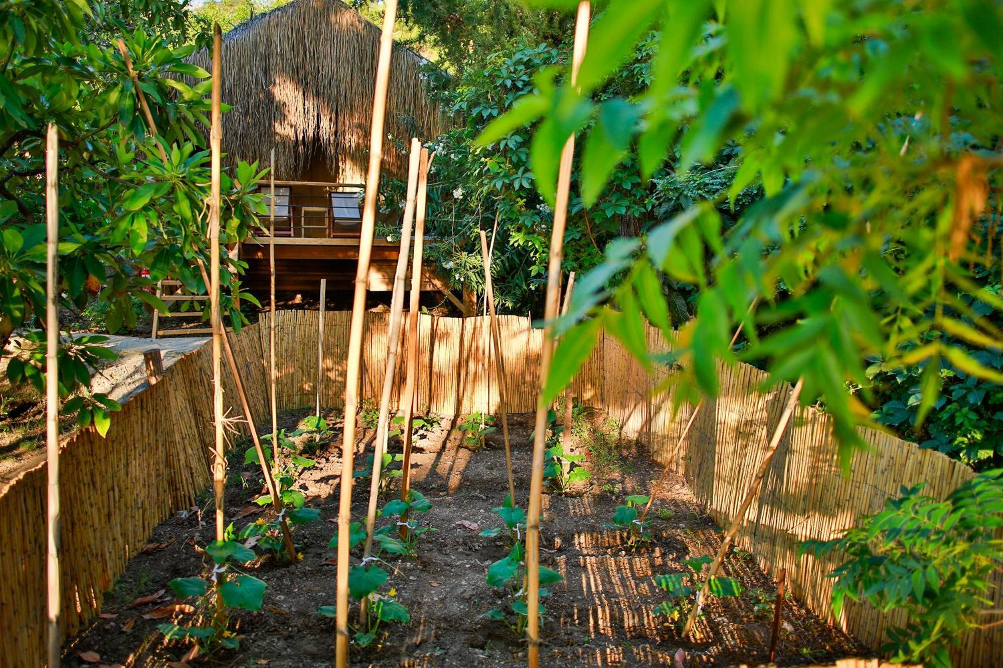 Suite Garden View