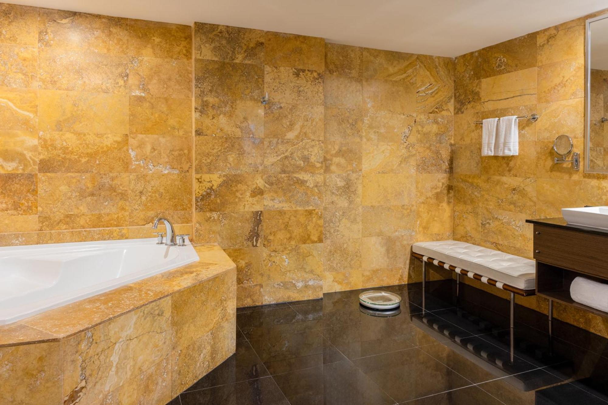 Suíte Gold de 1 Quarto com 1 Cama King-size e Acesso à Área VIP
