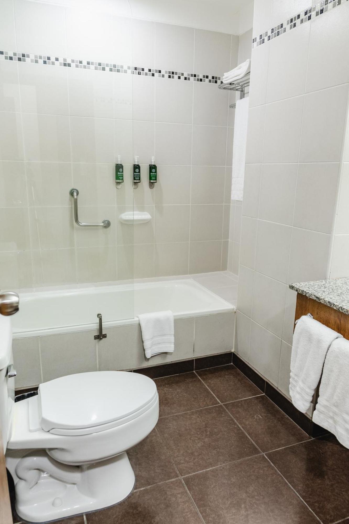 Suite con 1 cama grande y 1 cama individual, no fumadores