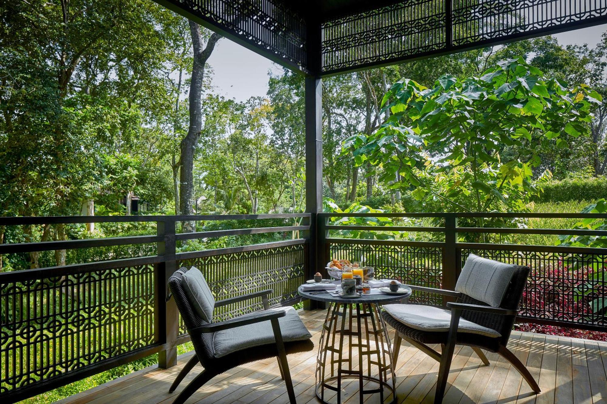 Rainforest Junior Suite,1592932987:JPEG
