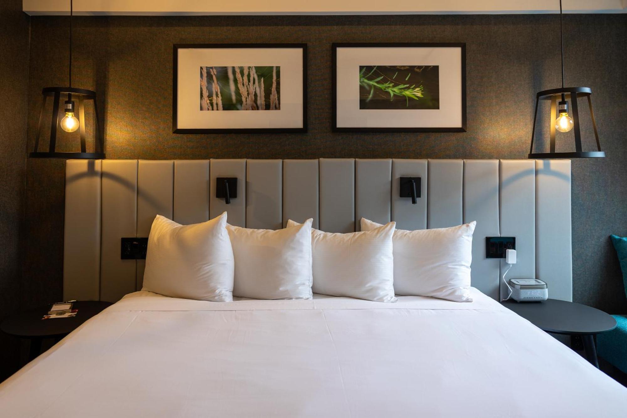 Superior Room 1 King Bed,1662979943:JPEG