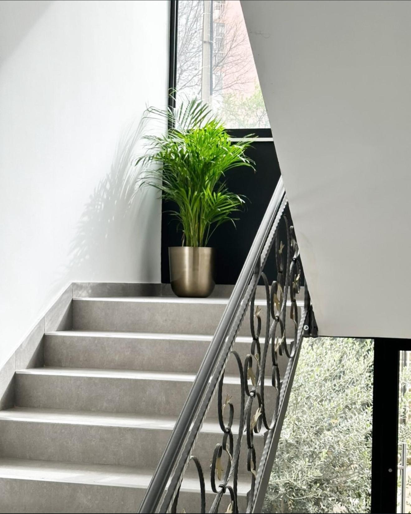 Double Room Balcony,1690291284:JPEG