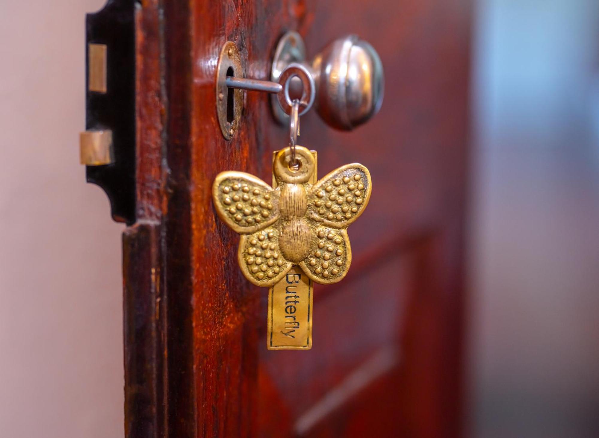 Lime Butterfly Room