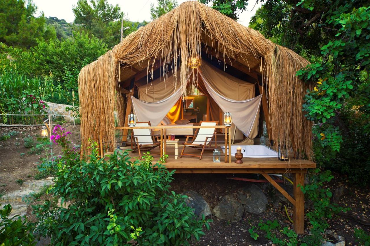 Suite Garden View