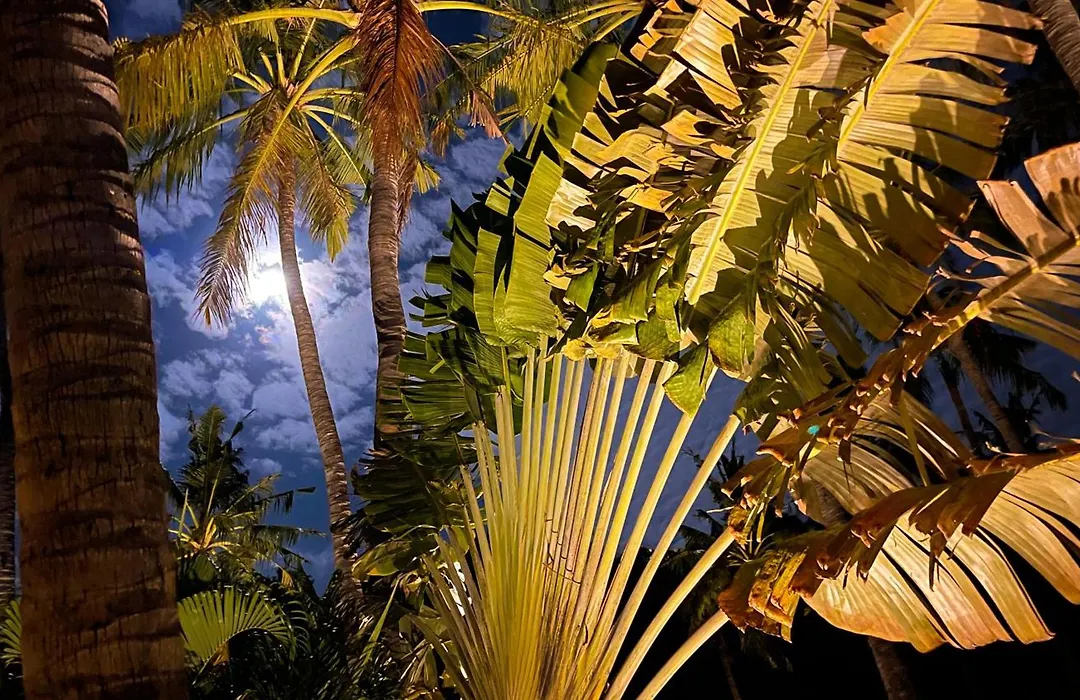 Palm Garden Amed Beach&Spa Resort Bali-1
