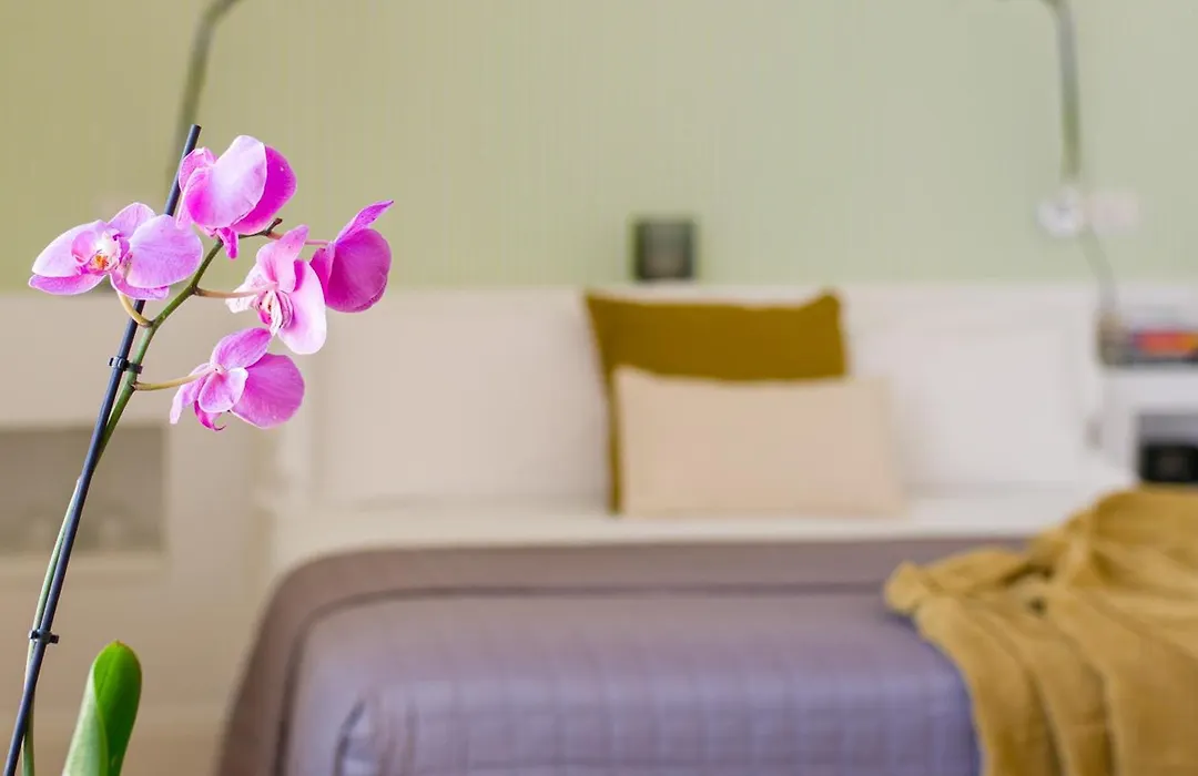 Santa Chiara Boutique Hotel-1