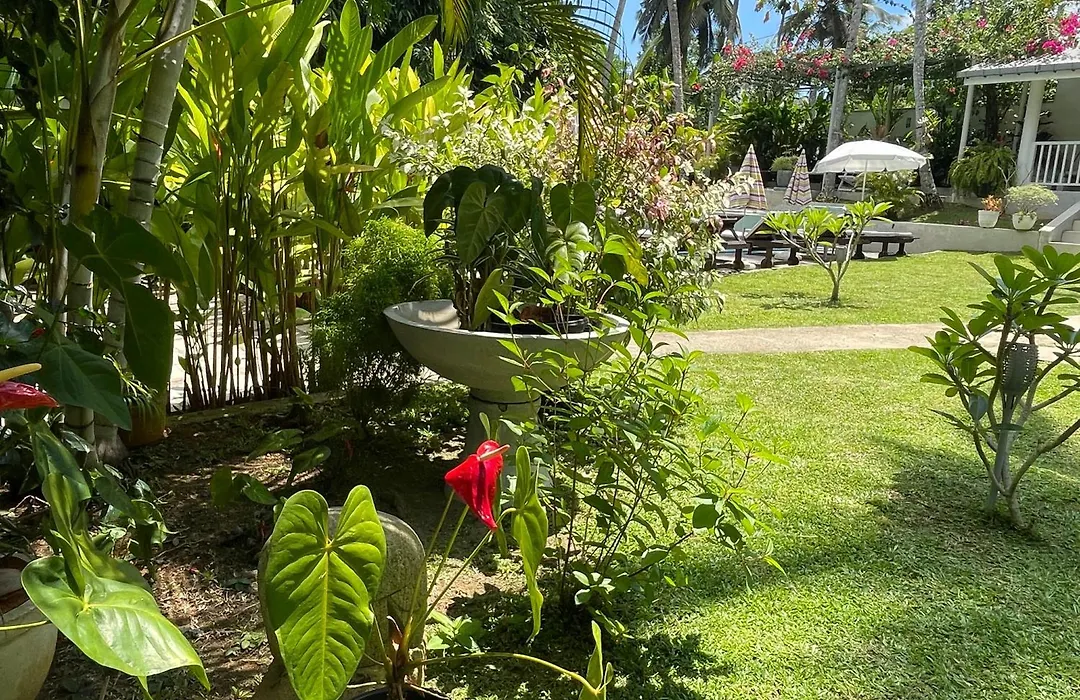 Plantation House-1