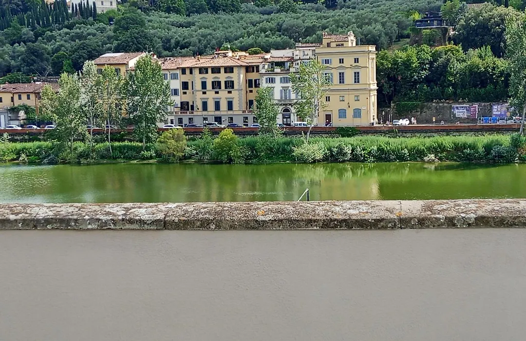 LE RÊVE DE NAIM Firenze-1