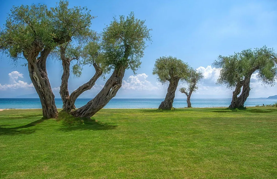 Domes Miramare, A Luxury Collection Resort, Corfu - Adults Only-1