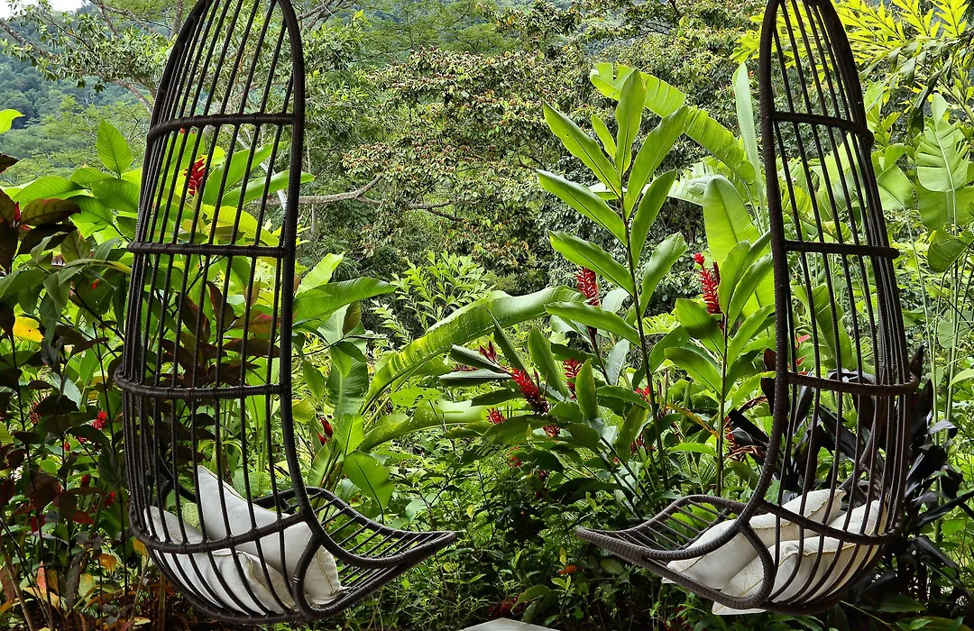 Golden Pineapple Villas-Adults Only-1
