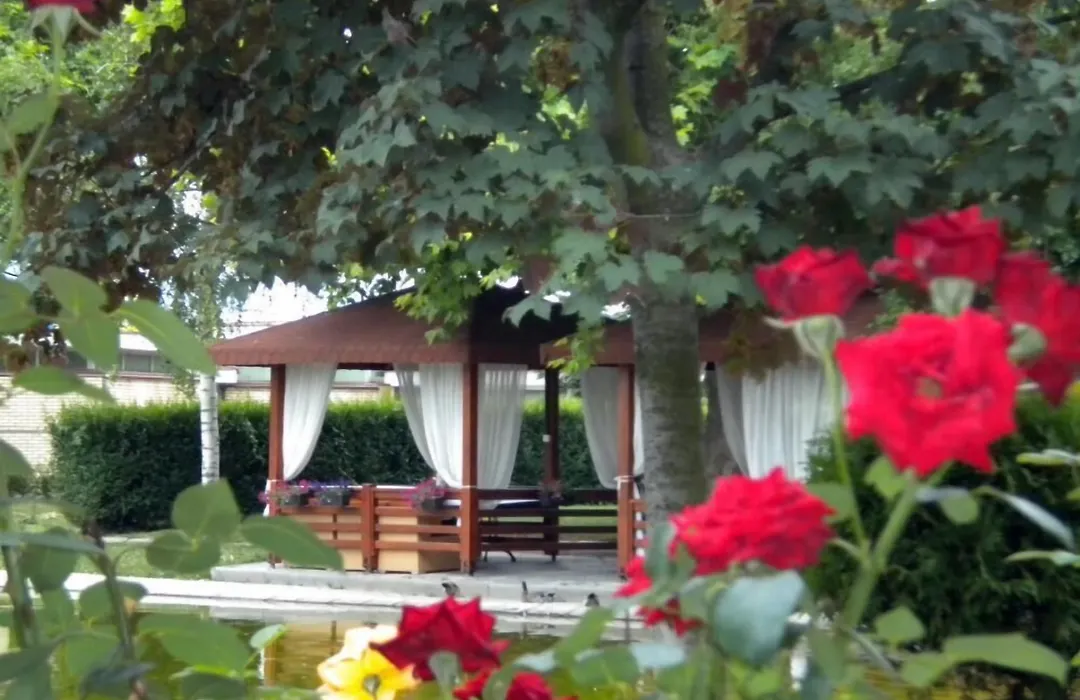 Hotel Bellevue-1