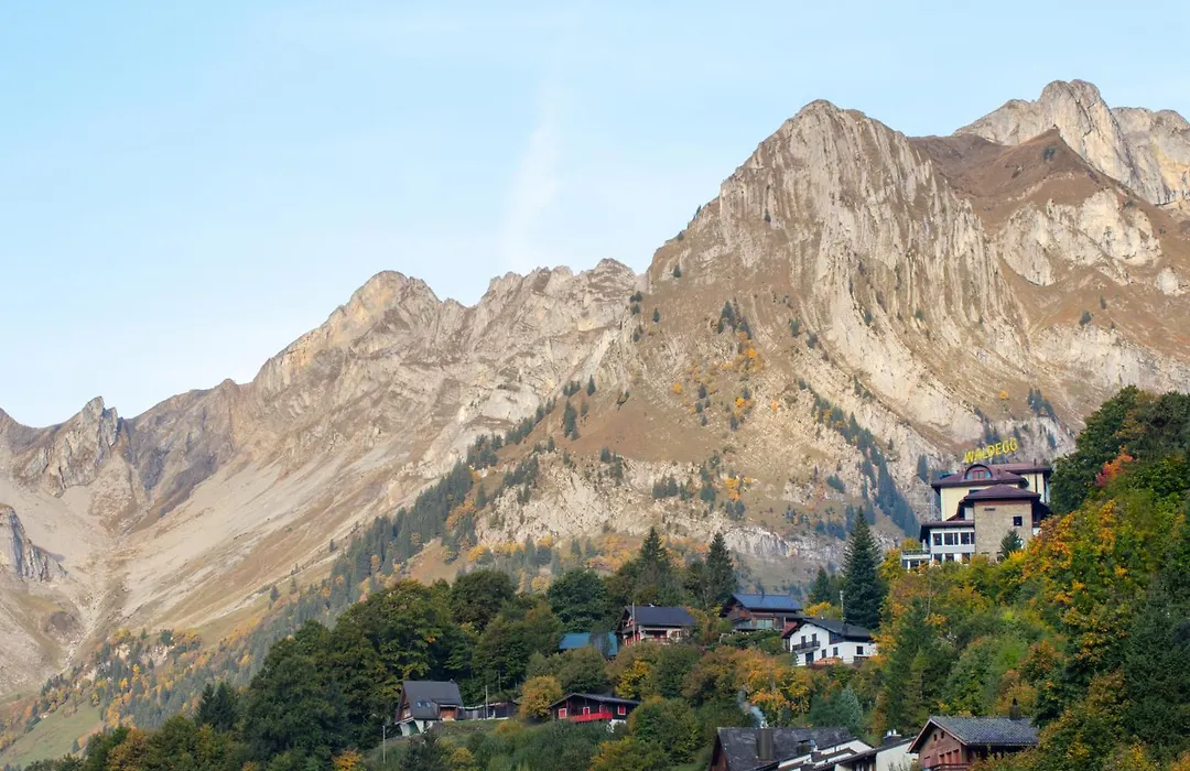 Hotel Waldegg - Adults Only-1