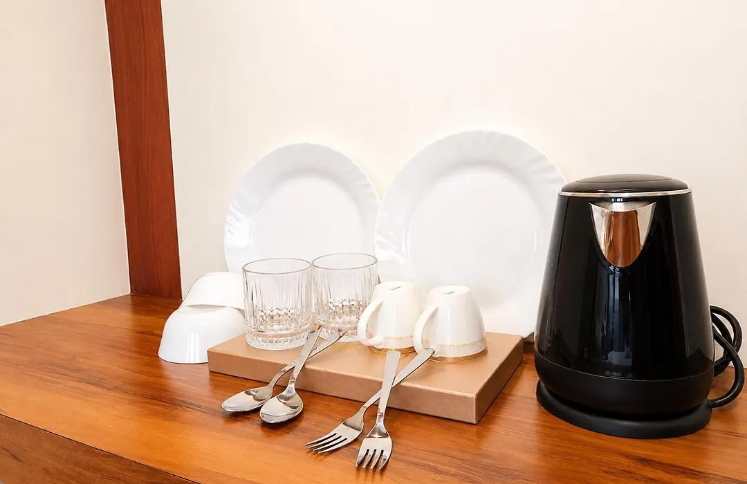 Ss Luxury Comforts - Twin Sharing-1