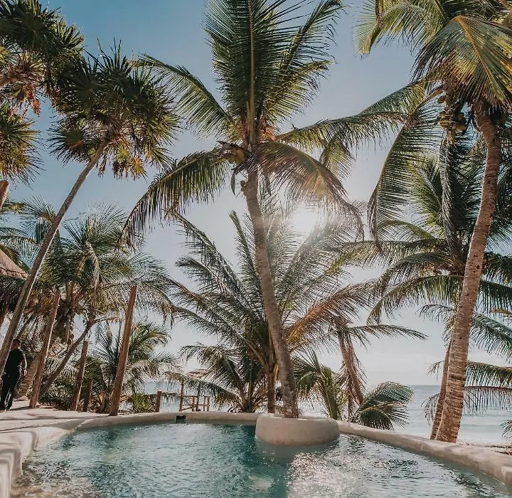 Papaya Playa Project, Tulum, A Member Of Design Hotels-1