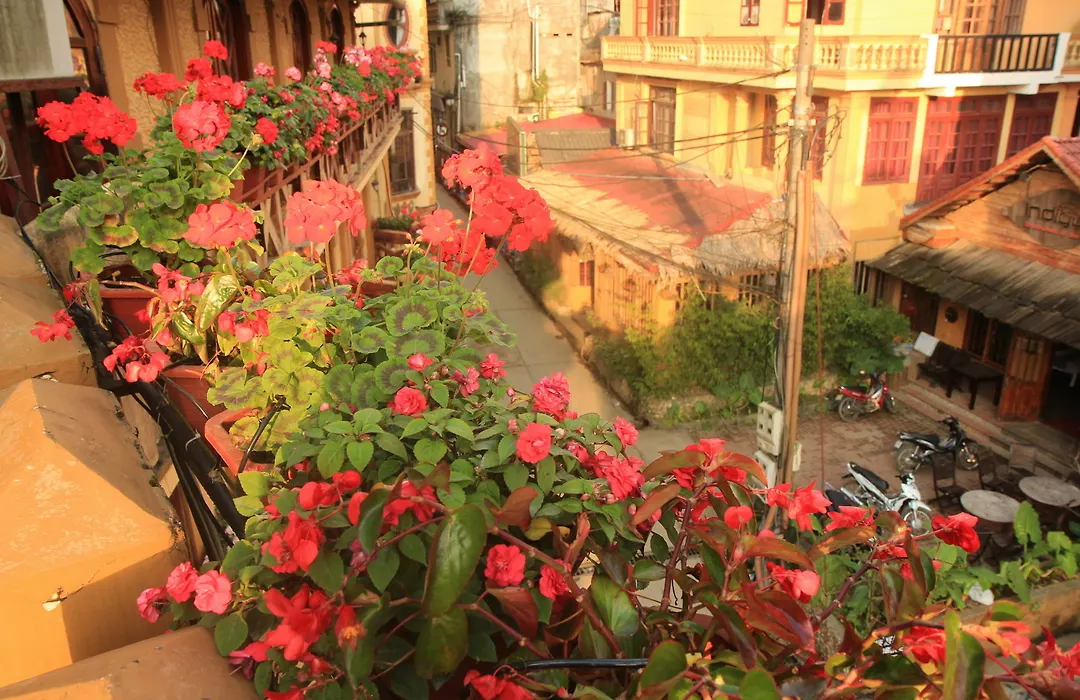 Chau Long Sapa-1