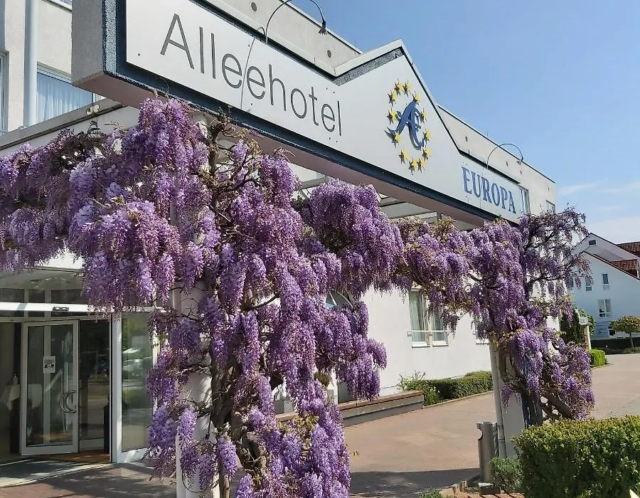 Alleehotel Europa-1