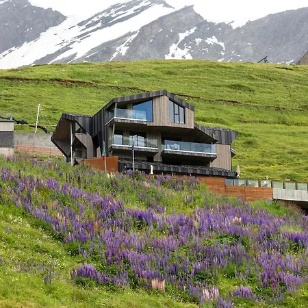 Bergman Mountain Hotel-3