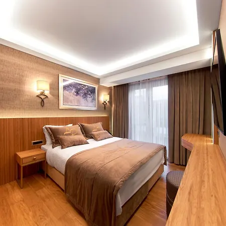 Lady Diana Hotel-3