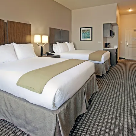 Holiday Inn Express Hotel & Suites Port Arthur, An Ihg Hotel-3