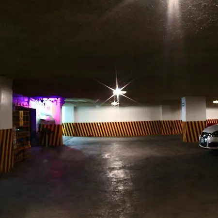 Hotel Plaza Madrid-2