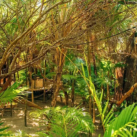 Ikal Tulum Hotel-2