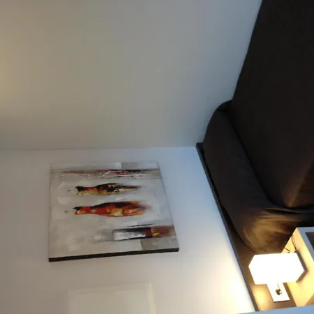 Apartaments I Habitacions Can Morera Olot-3