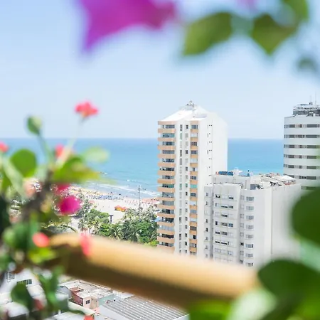 Hotel Zi One Luxury-3