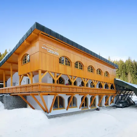 Hotel Lesana-3