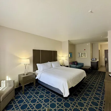 Garner Hotel Longview South By Ihg-3