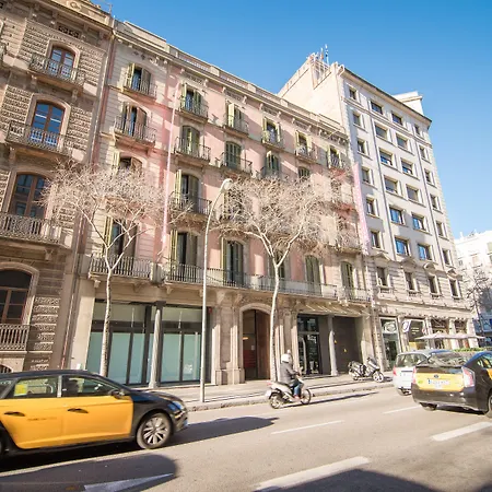 Icon Bcn-2