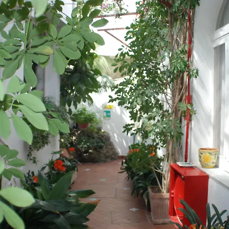 Hotel La Palma-2