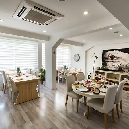 Minu Hotel-2