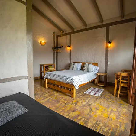 Coffee Tree Boutique Hostel-2