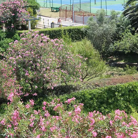 Vile Oliva Hotel & Resort-2