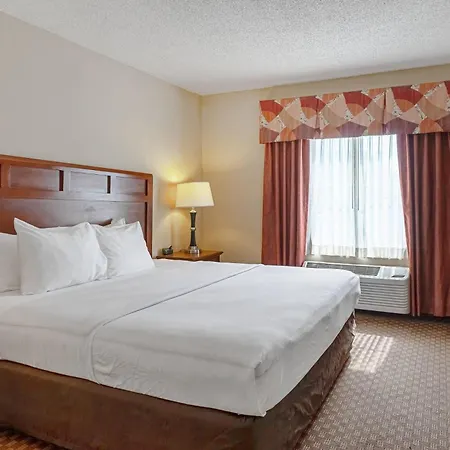 Quality Suites San Antonio Northeast-2