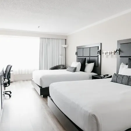Hotel Universel Alma-3