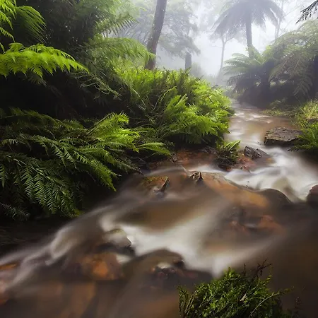 Ardour Lilianfels Blue Mountains-3