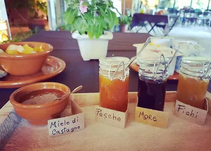 Agriturismo San Lorenzo