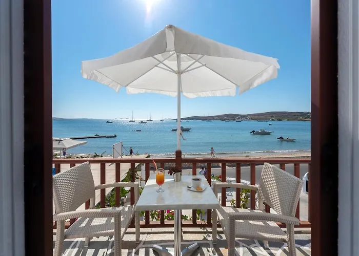 Pets Allowed Hotel Irene - Beachfront