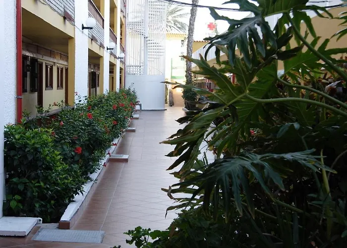 Hotel dichtbij College: Apartamentos Los Tilos