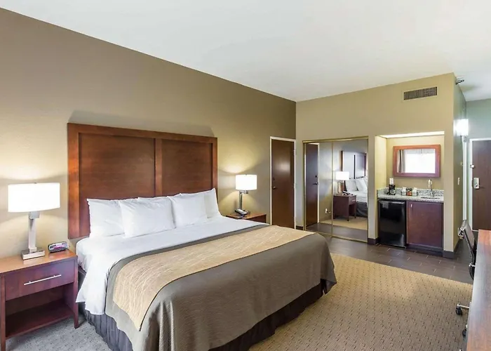 Dog friendly hotels Tollgate